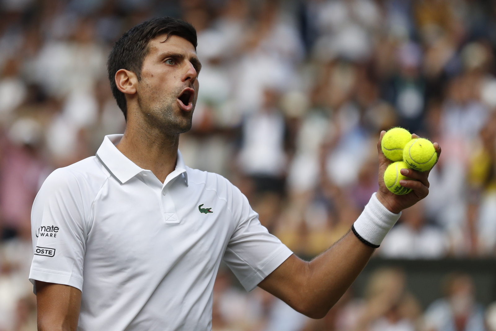 Novak Djokovic cieszy się ze zwycięstwa w Wimbledonie. Fot. PAP/EPA/NIC BOTHMA