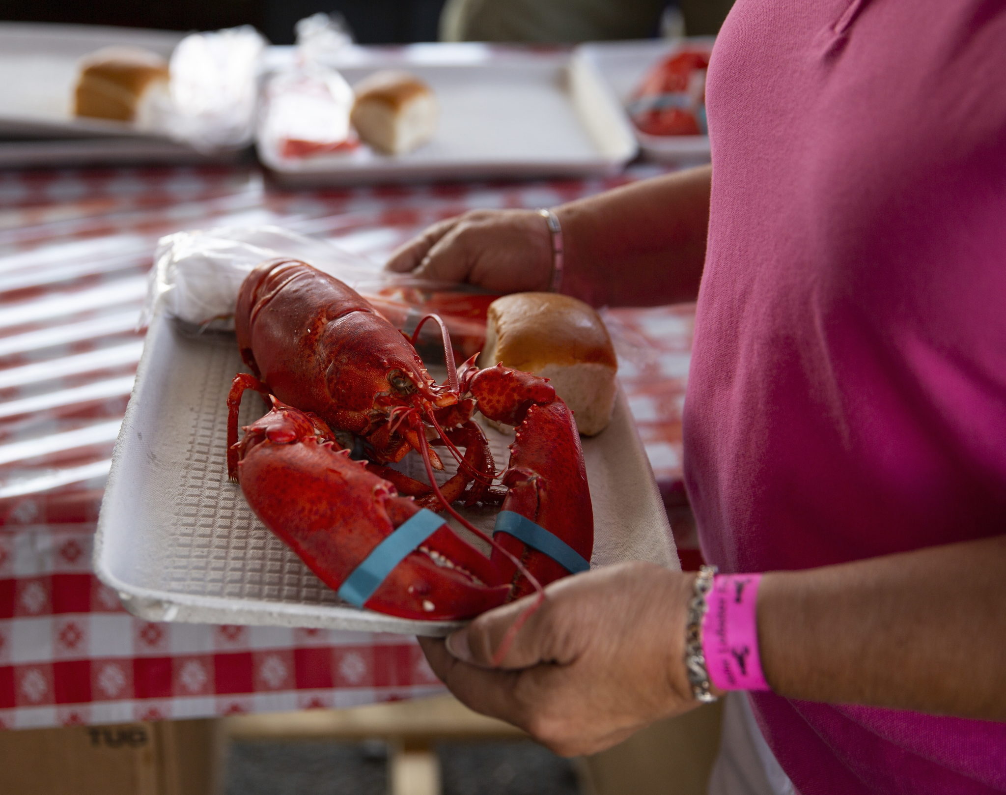 72. edycja festiwalu homarów w Maine w Rockland w stanie Maine, USA, fot. CJ GUNTHER, PAP/EPA.