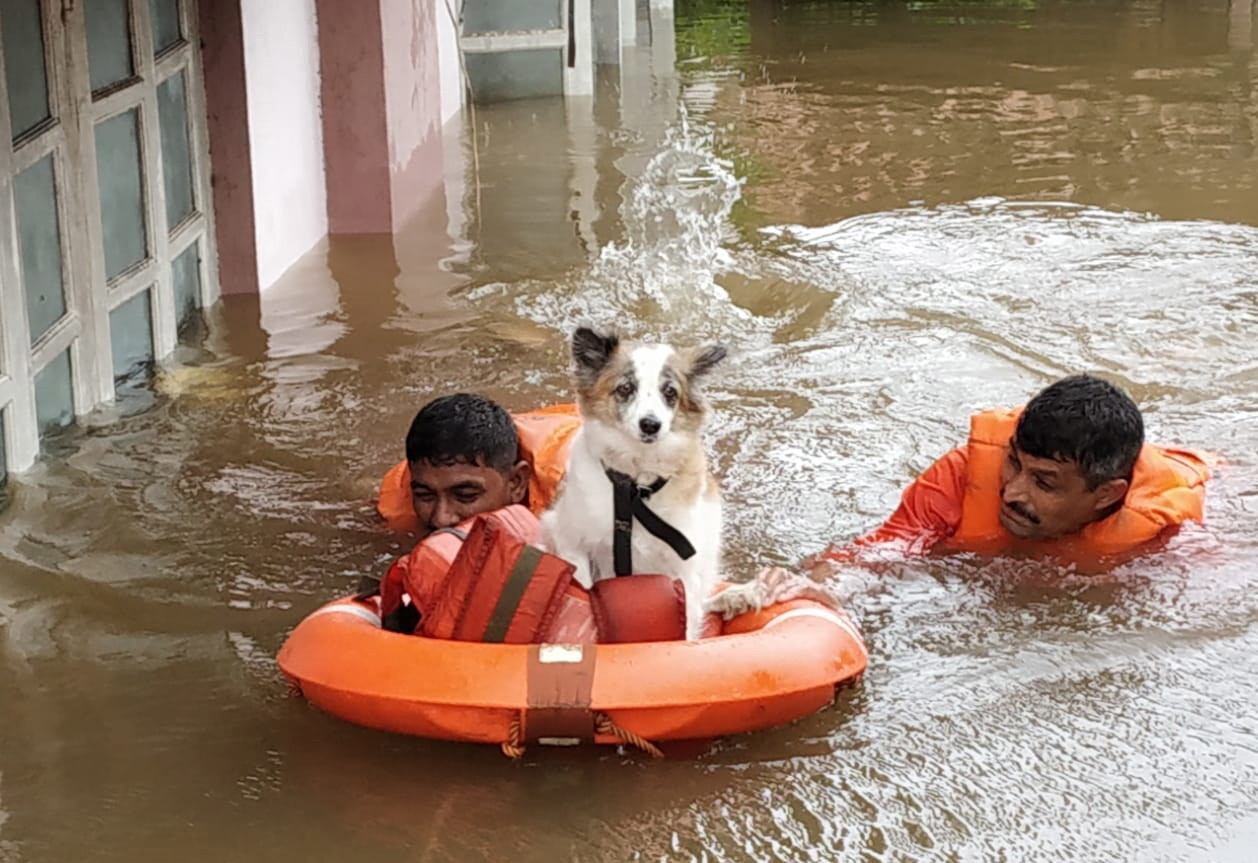 Powódź w Indiach EPA/NATIONAL DISASTER RESPONSE FORCE 