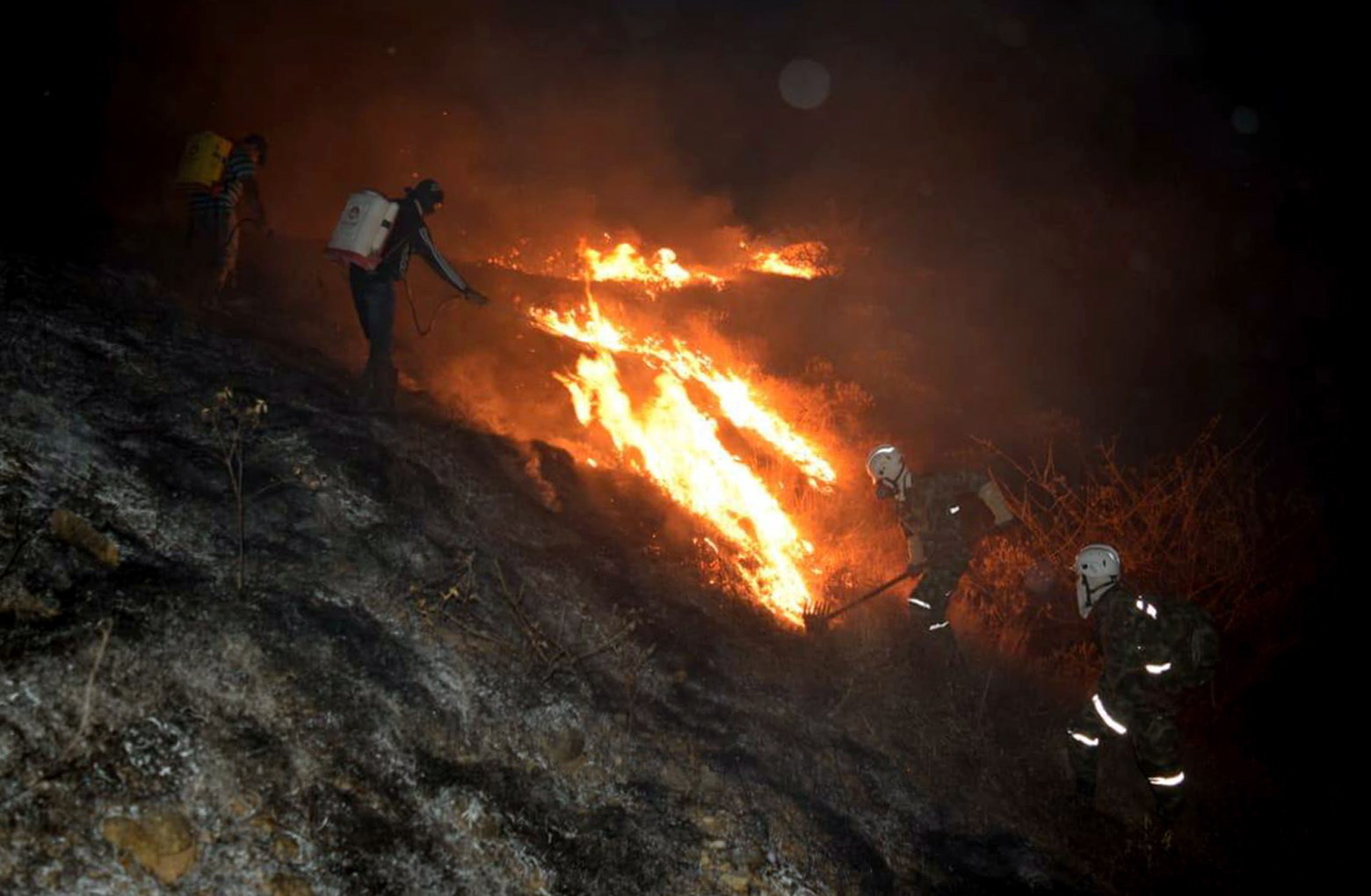 Pożary lasów w Kolumbii EPA/COLOMBIAN ARMY