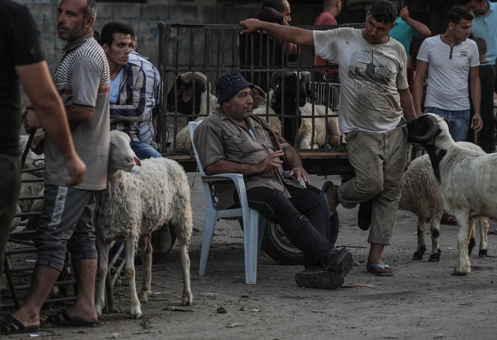 Przygotowania do święta Eid al-Adha w Stefie Gazy fot. EPA/MOHAMMED SABER 