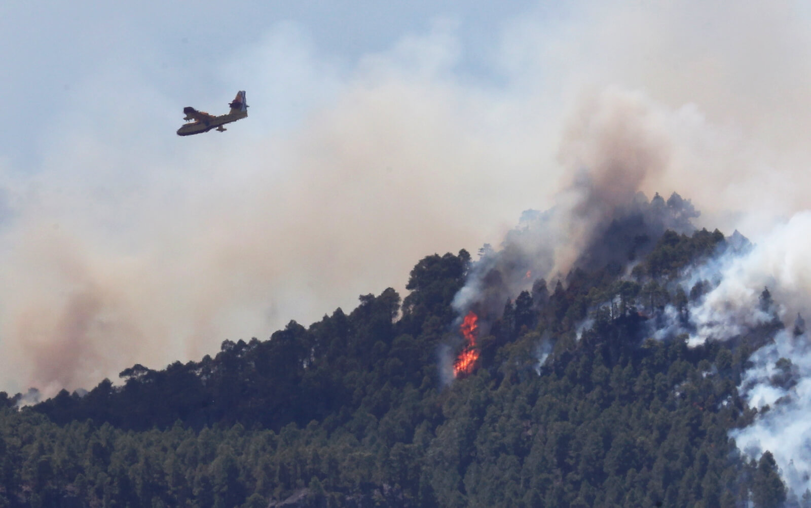 Ogromne pożary lasów w Hiszpanii fot. EPA/ELVIRA URQUIJO A. 