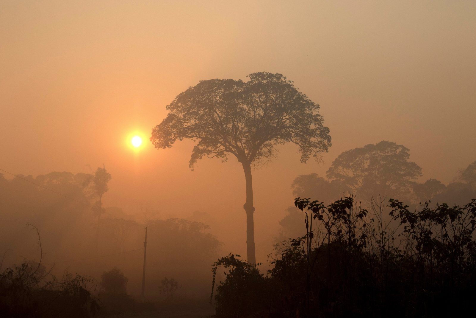 Pożary w Amazonii, Brazylia  EPA/Joedson Alves 