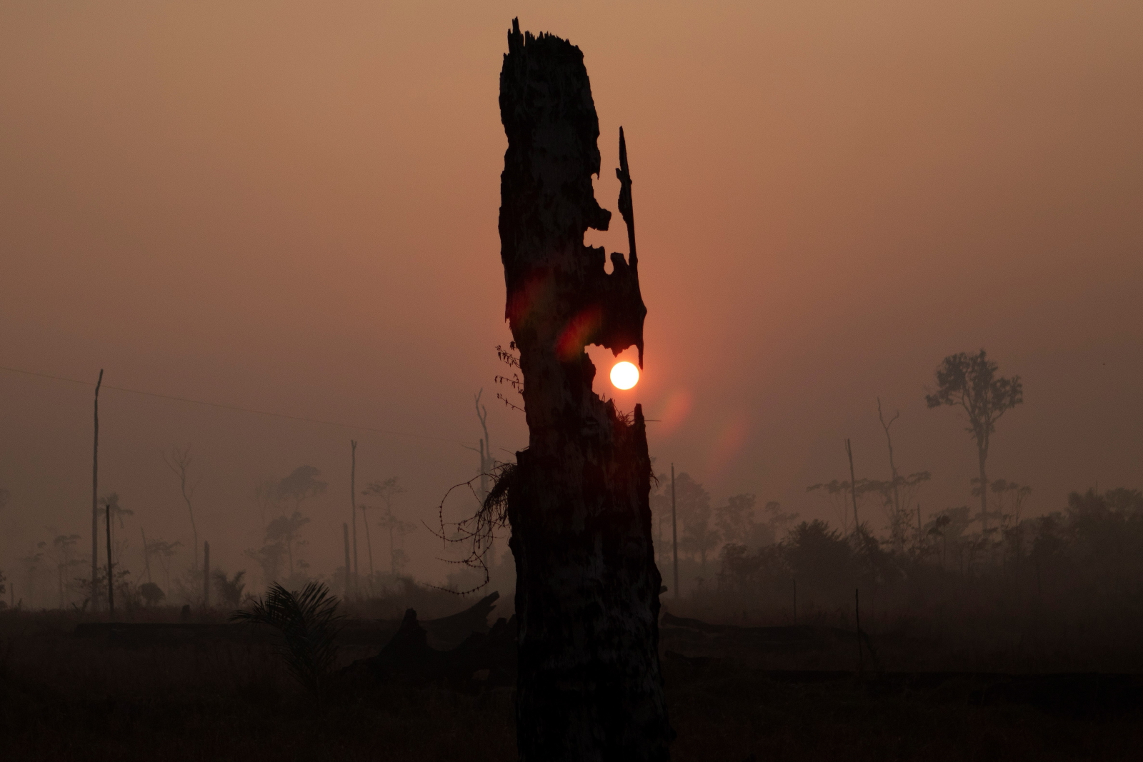 Pożary w Amazonii, Brazylia  EPA/Joedson Alves 