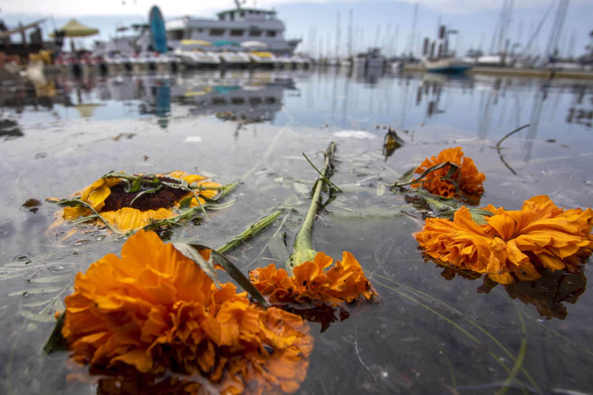 U wybrzeży Kalifornii spłoneła łódź z kilkudziesięcioma pasażerami. Amerykańska straż przybrzeżna poinformowała, że kilka osób udało się uratować, jednak 34 osoby uznaje się za zaginione. fot. DAVID MCNEW, PAP/EPA.