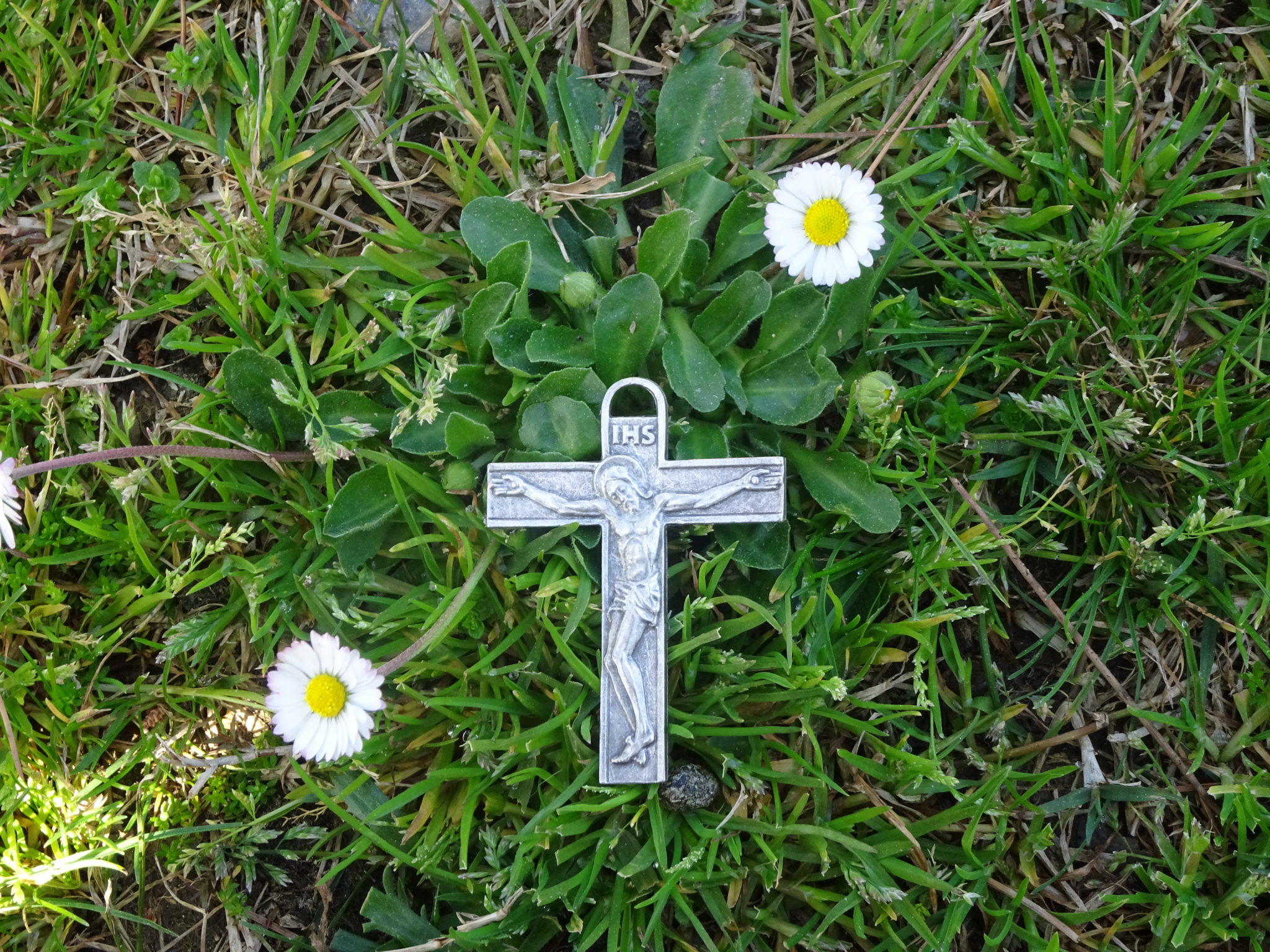 krzyż trawa