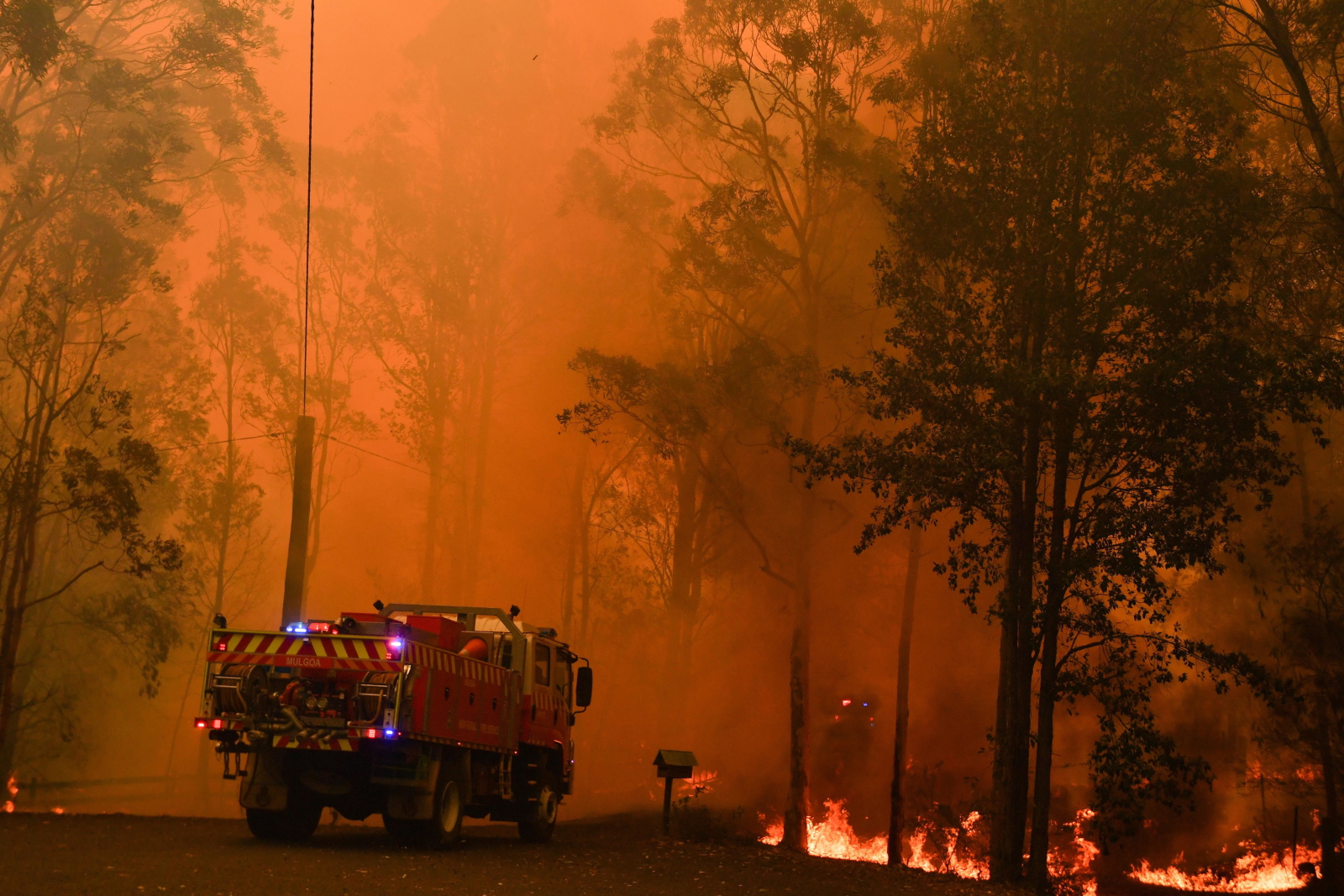 Pożar buszu w Australii EPA/MICK TSIKAS  