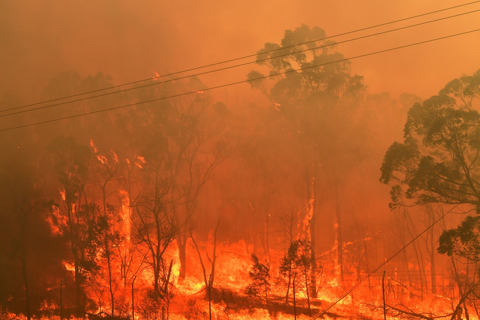 Pożary buszu w Australii EPA/DEAN LEWINS  