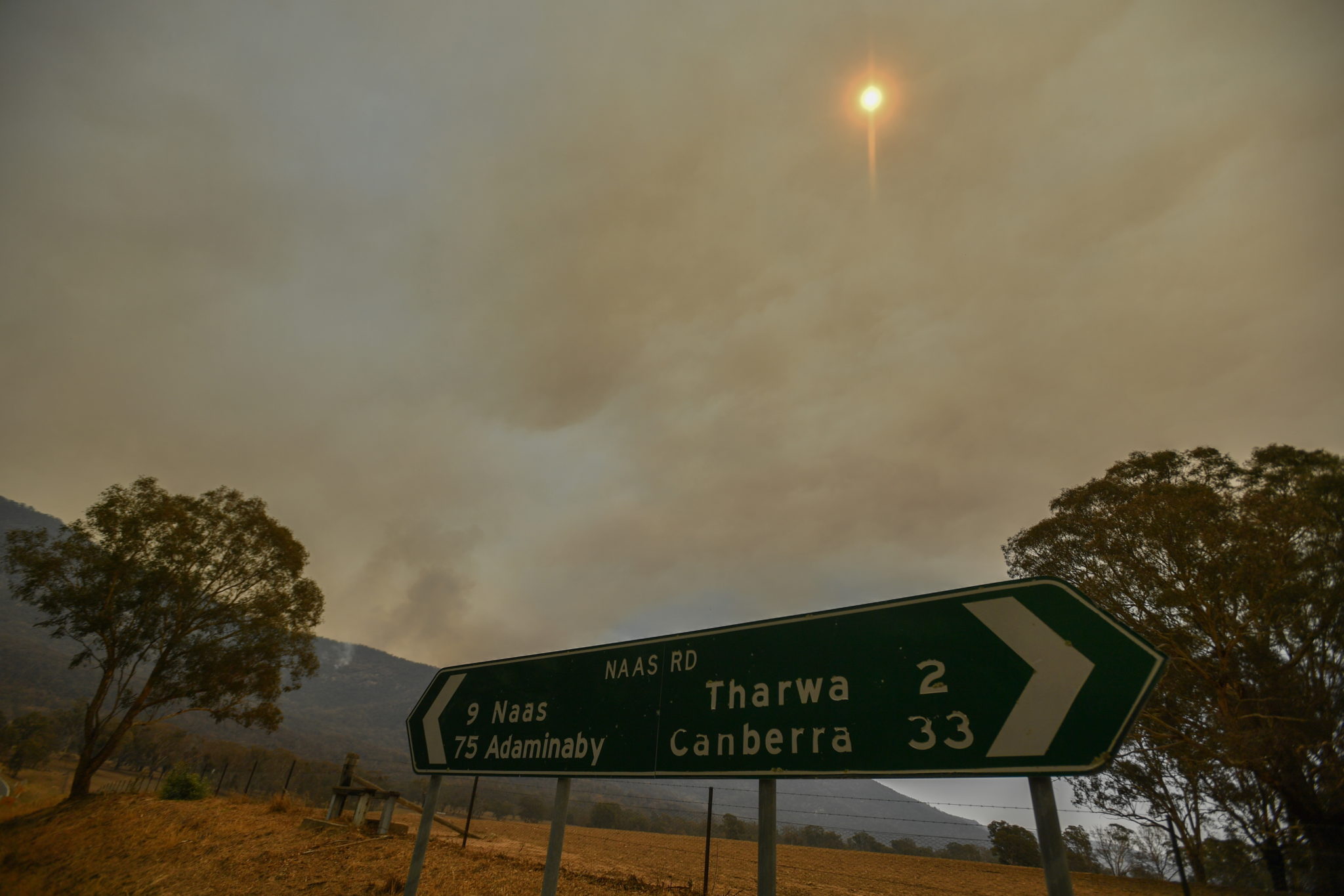 Australia wciąż w ogniu. fot. EPA/MICK TSIKAS 