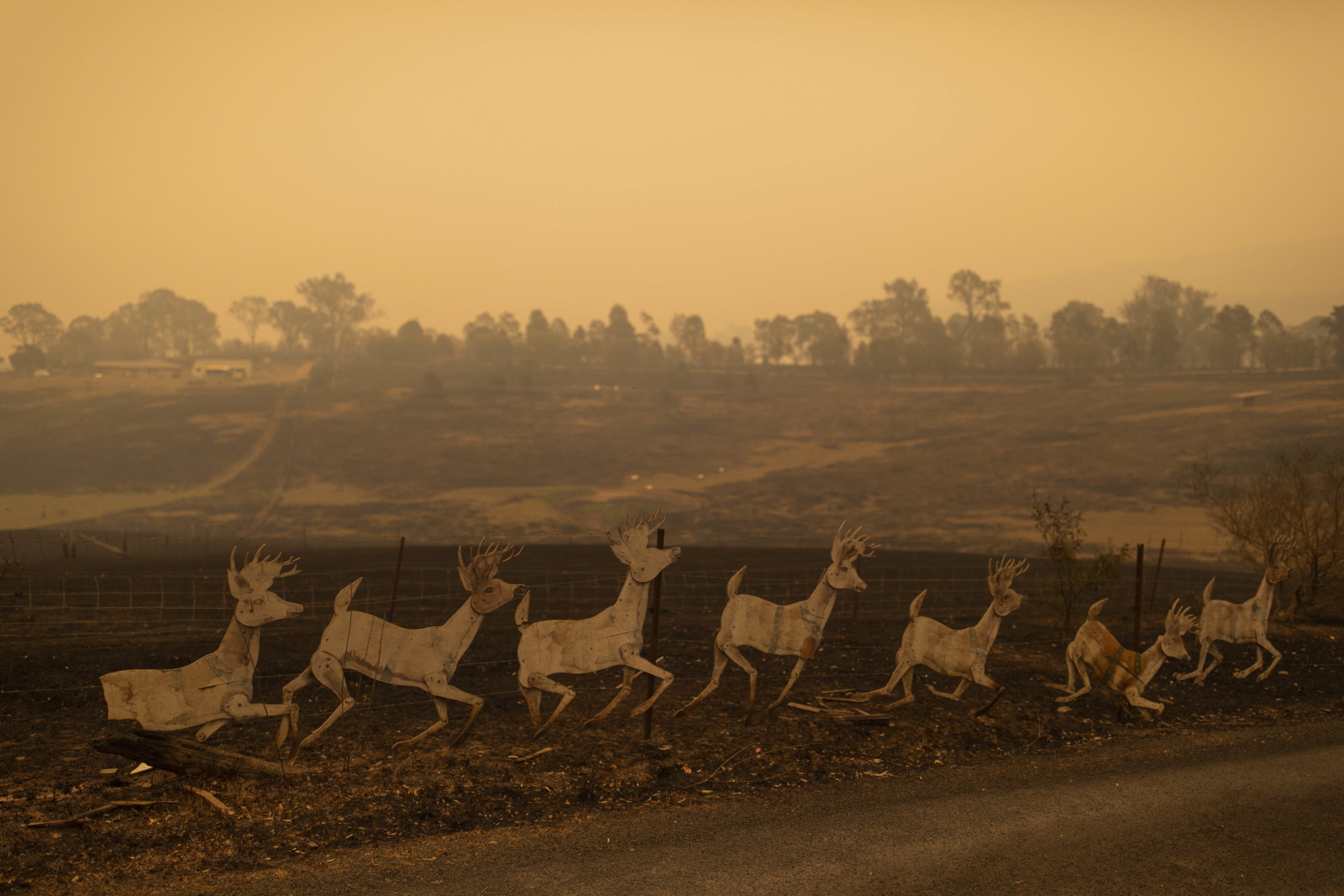 Pożary trafią kolejne hektary w Australii. Fot. EPA/SEAN DAVEY 