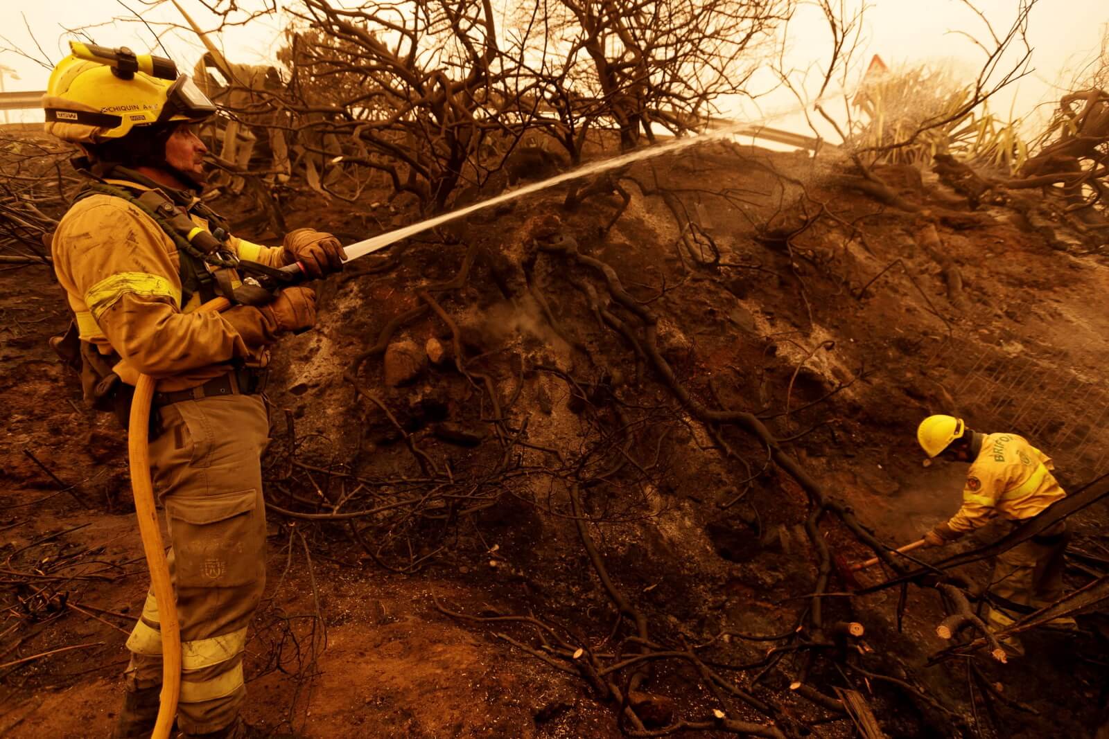 Pożary na wyspach Kanaryjskich fot. EPA/RAMON DE LA ROCHA