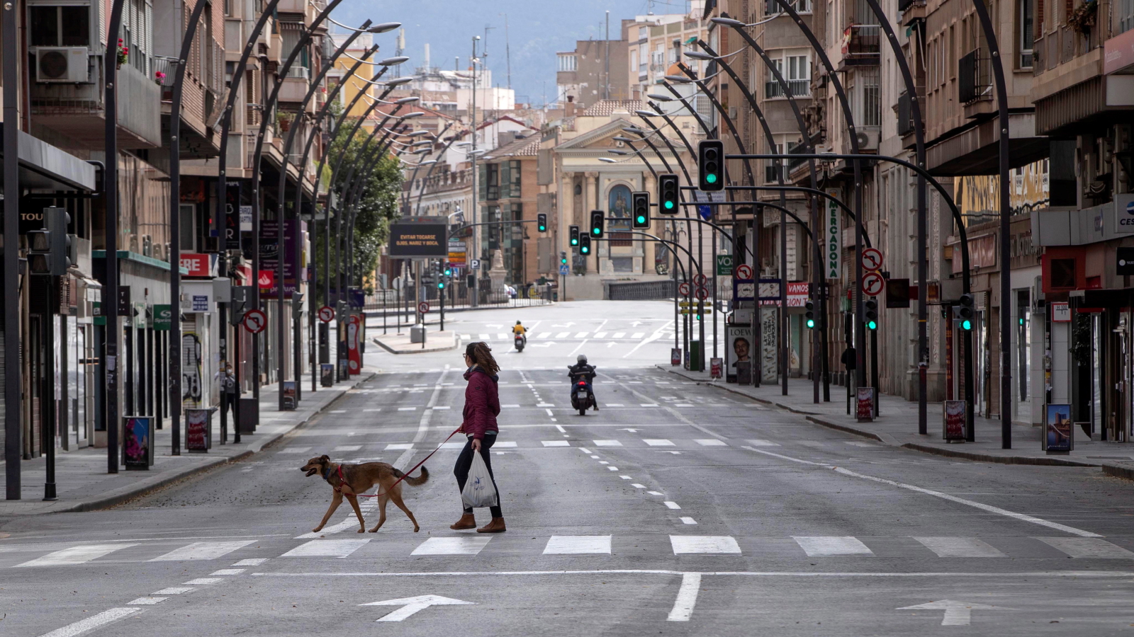 Spacer z psem w Hiszpanii fot.  EPA/Marcial Guillen 