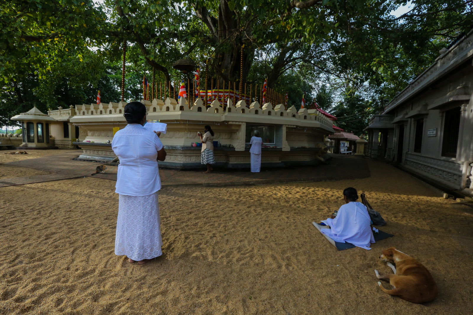 Sri Lanka. Fot. EPA/CHAMILA KARUNARATHNE 