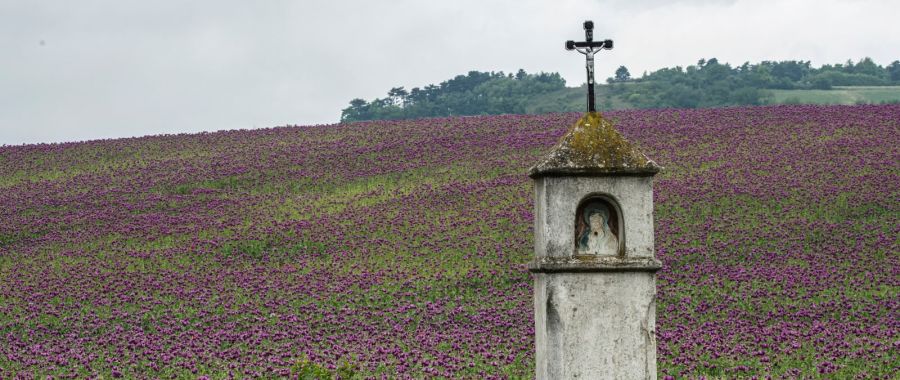 Austria fot. EPA/CHRISTIAN BRUNA