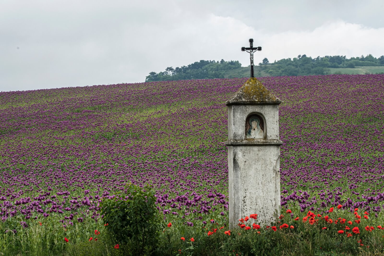 Austria fot. EPA/CHRISTIAN BRUNA