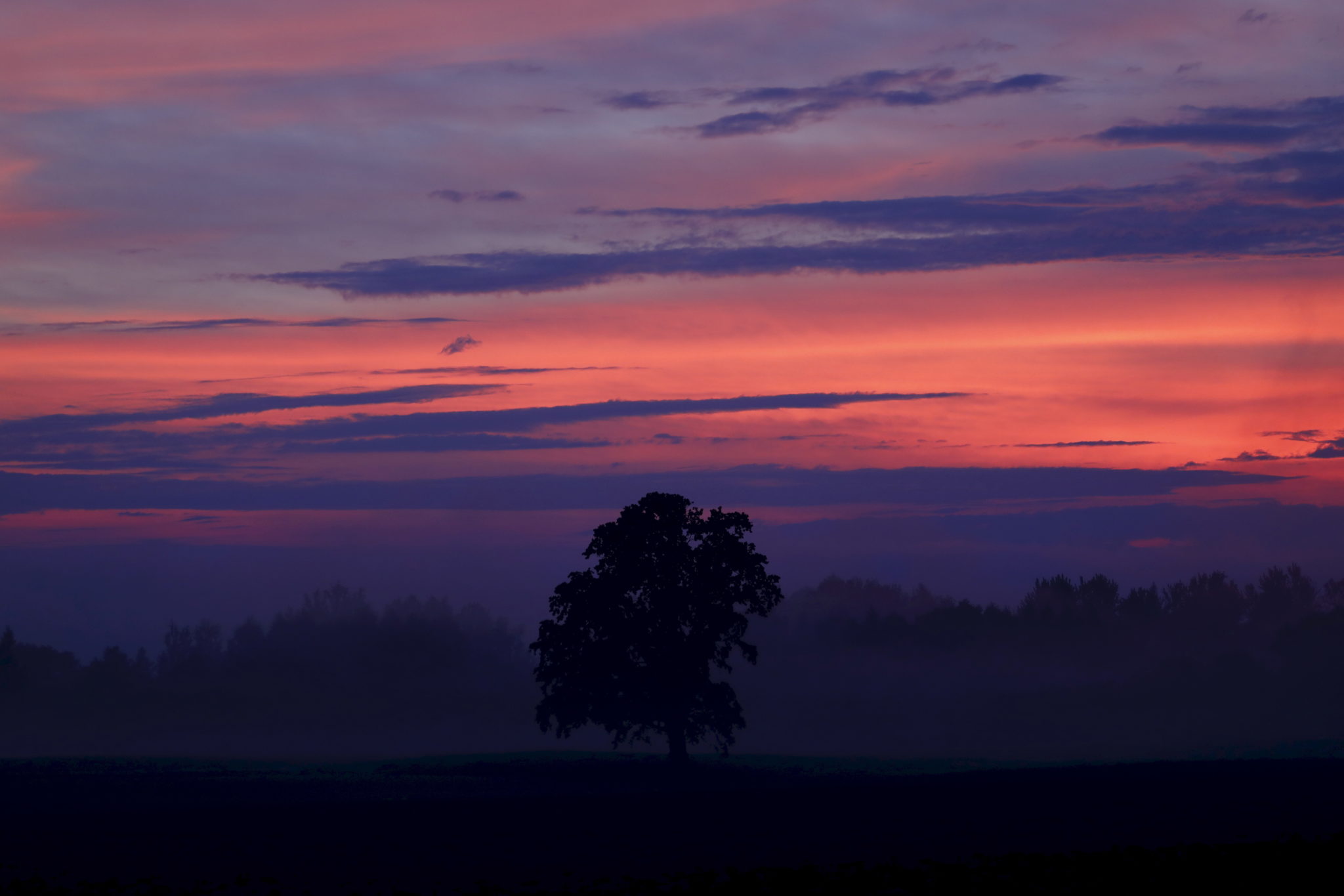 Łotwa: zachód słońca po deszczu, fot. EPA/ TOMS KALNINS