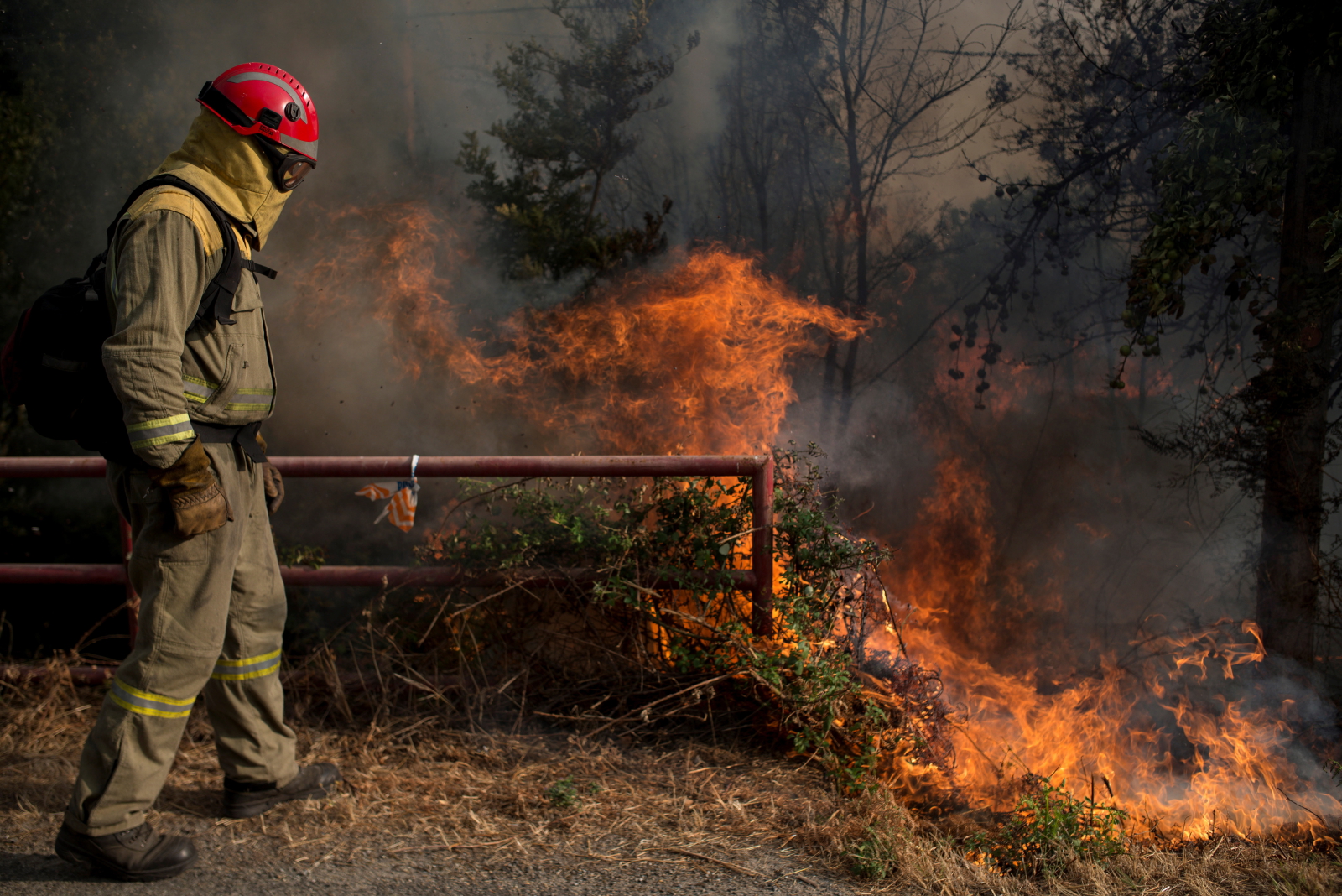 Pożary lasów w Hiszpanii fot. EPA/BRAIS LORENZO 
