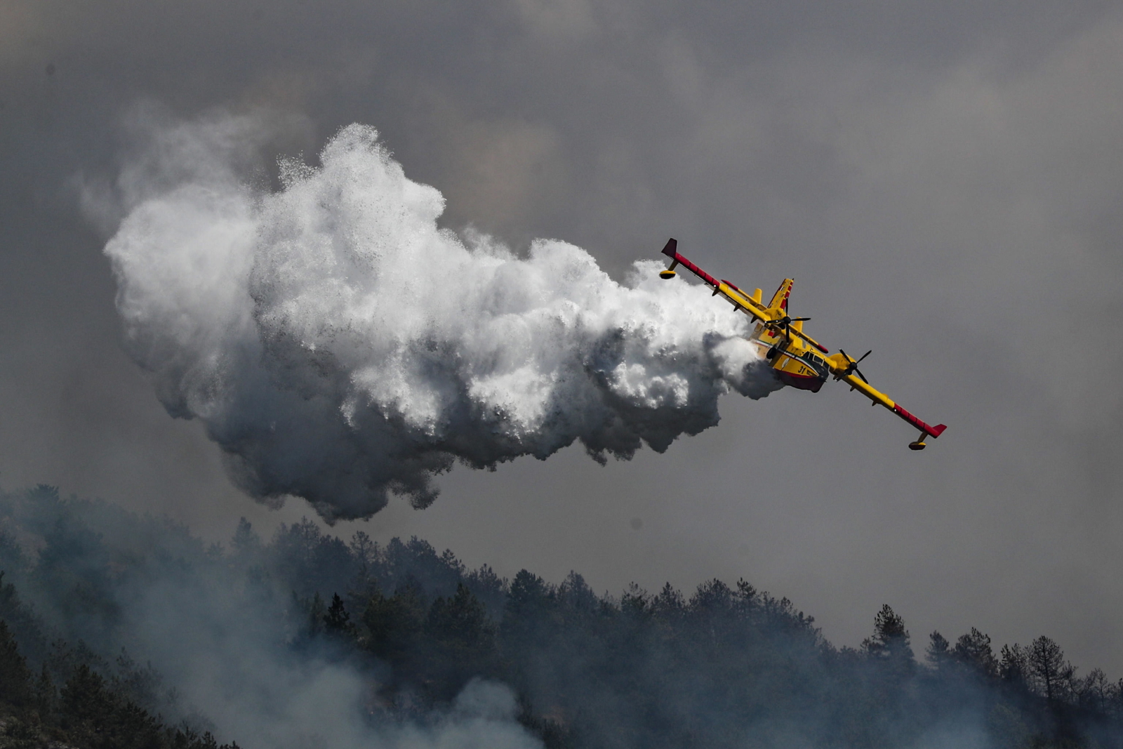 Pożar lasów we Włoszech EPA/EMANUELA VALERI 