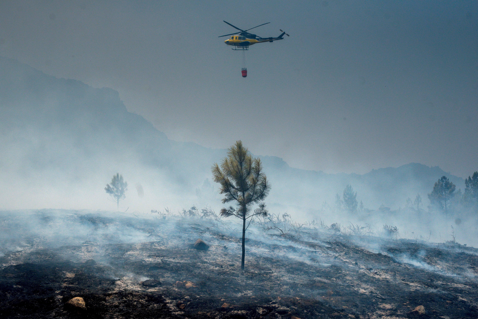 Pożary lasów w Portugalii fot. EPA/BRAIS LORENZO 

