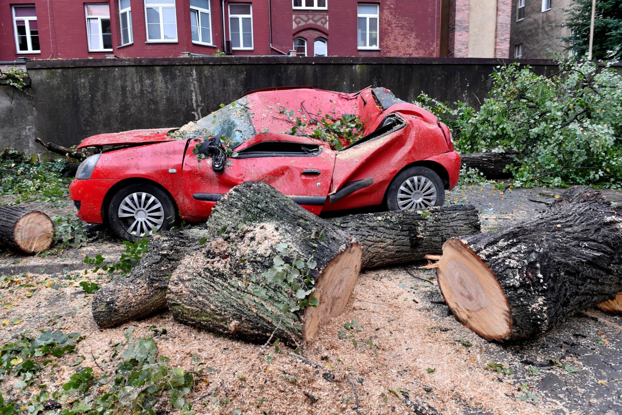 Uszkodzone drzewo po burzy w Szczecinie. Fot. PAP/Marcin Bielecki