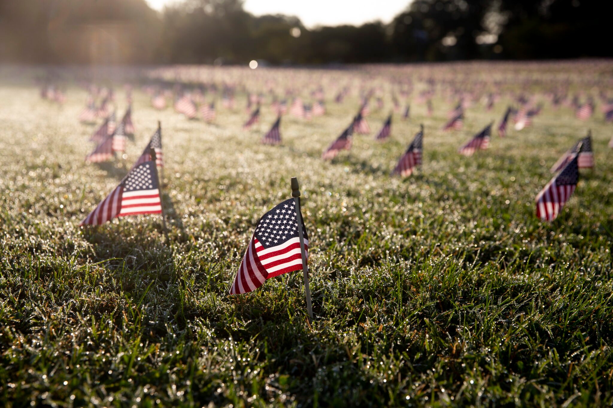 flagi narodowe są umieszczane, aby upamiętnić Amerykanów, którzy zmarli na COVID-19, fot. EPA 