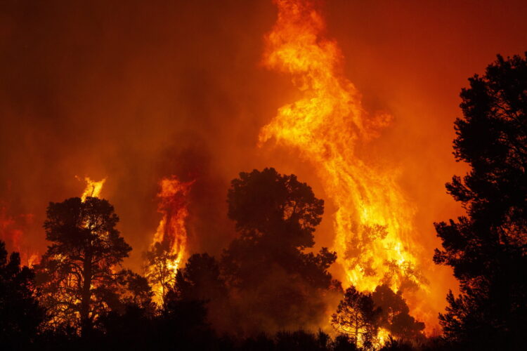 pożary lasów w kalifornii