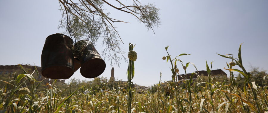 Rolnictwo w Jemenie fot. EPA/YAHYA ARHAB