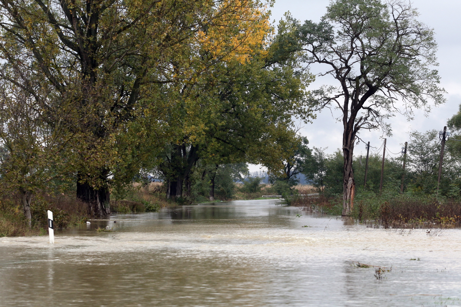 Powódź na Węgrzech EPA/Janos Vajda 
