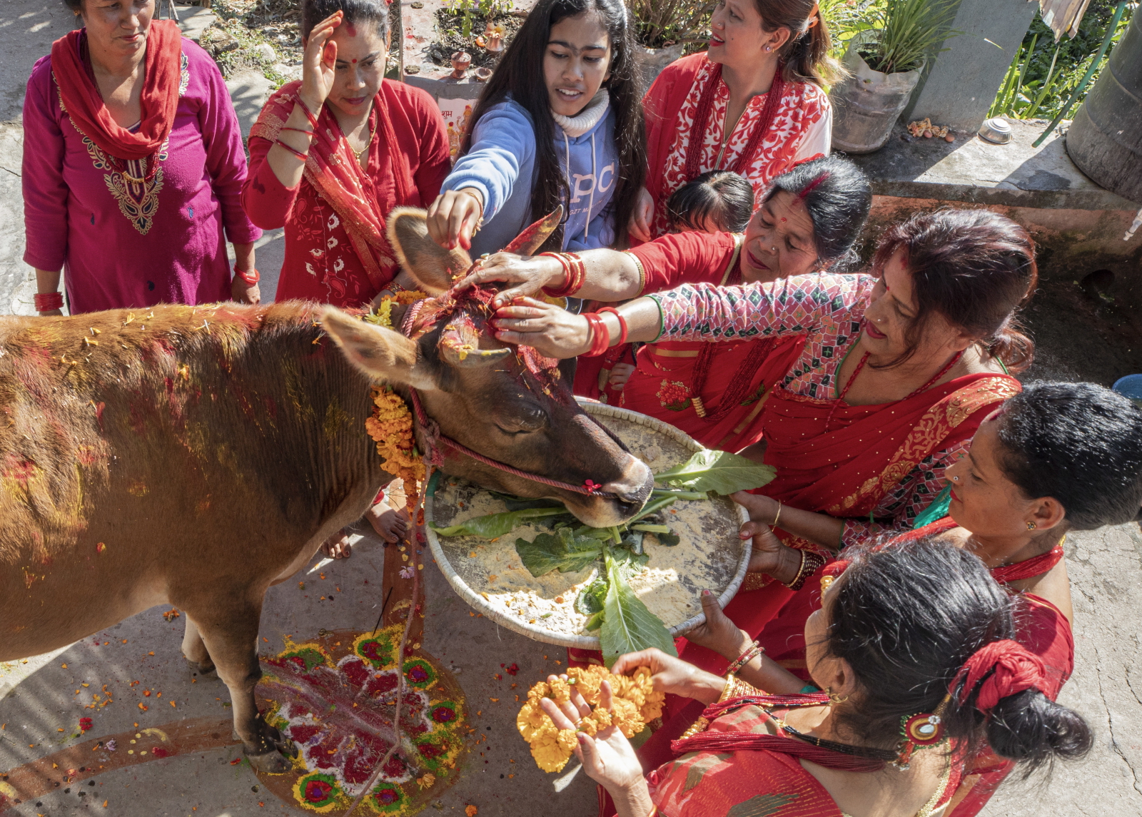 Nepal. Święto Krowy EPA/NARENDRA SHRESTHA 
