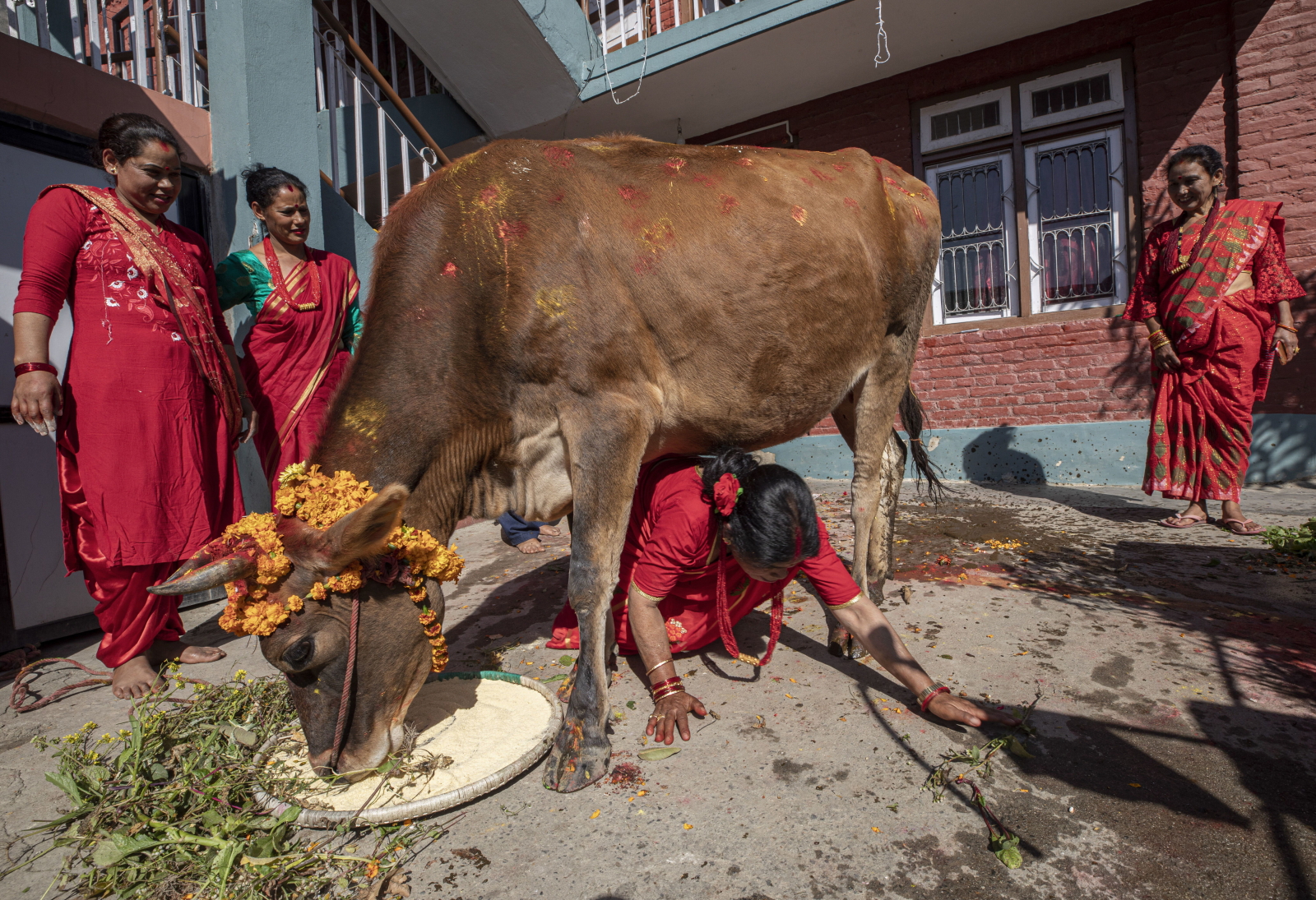 Nepal. Święto Krowy EPA/NARENDRA SHRESTHA 
