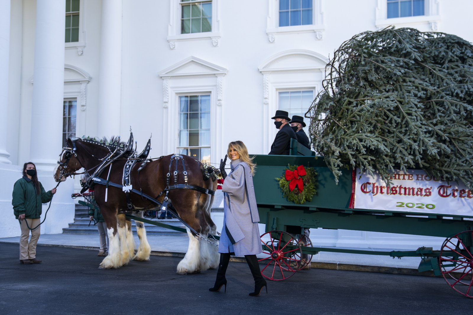 Melania Trump prezentuje choinkę. Fot.  EPA/JIM LO SCALZO 