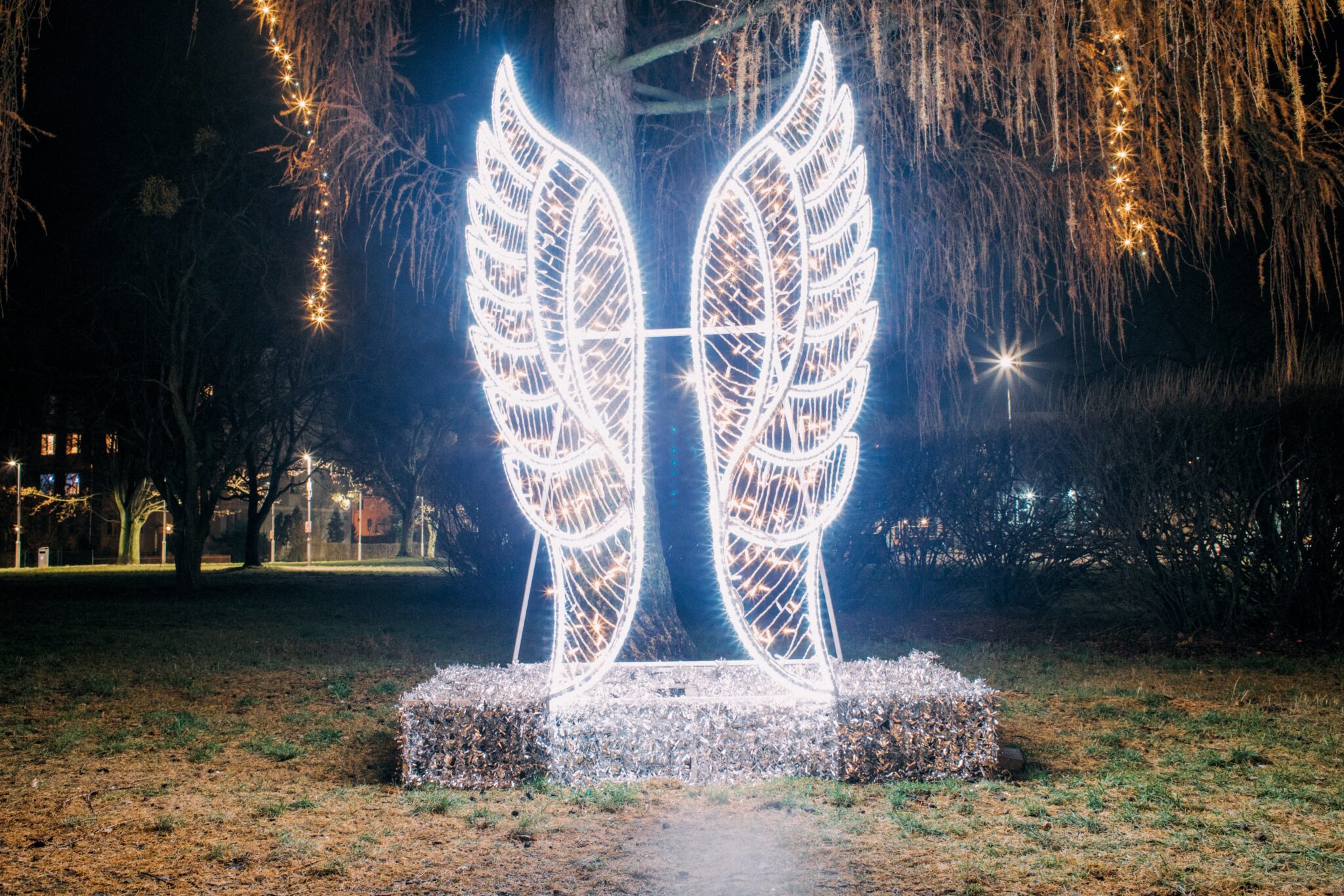 Świąteczna iluminacja przed ratuszem na warszawskich Bielanach, fot. PAP/Albert Zawada