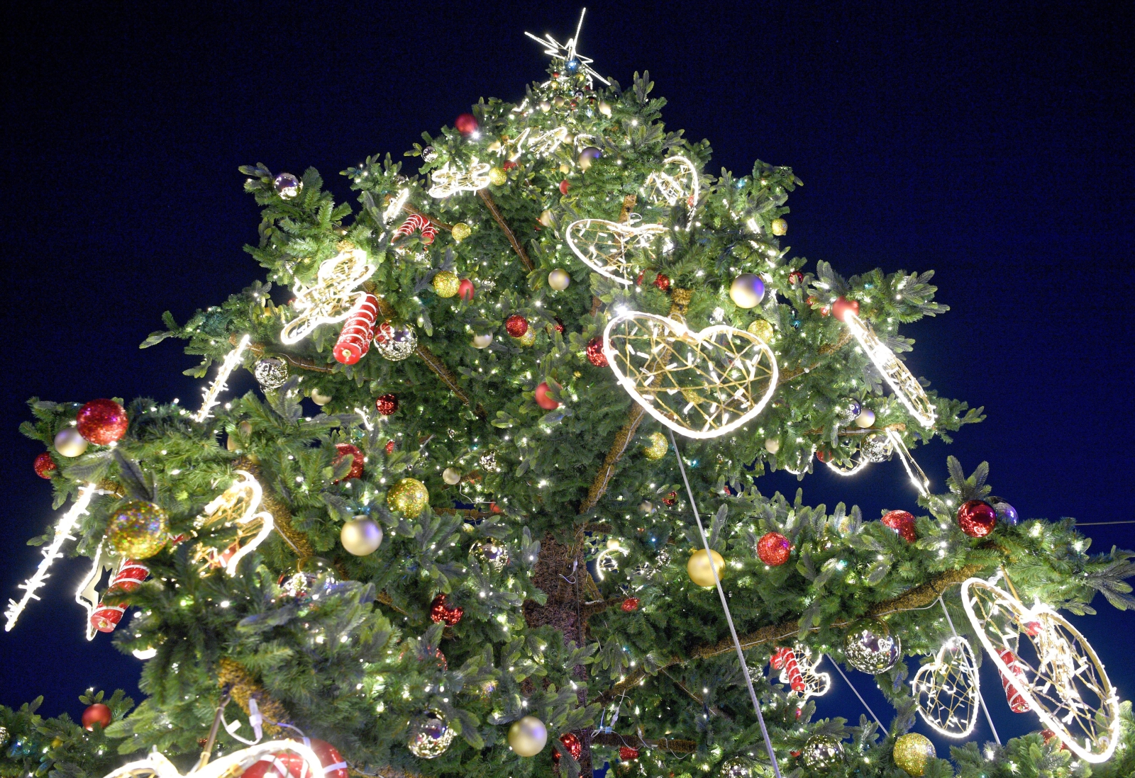 Dekoracje bożonarodzeniowe w Rzeszowie Fot. 	PAP/DAREK DELMANOWICZ