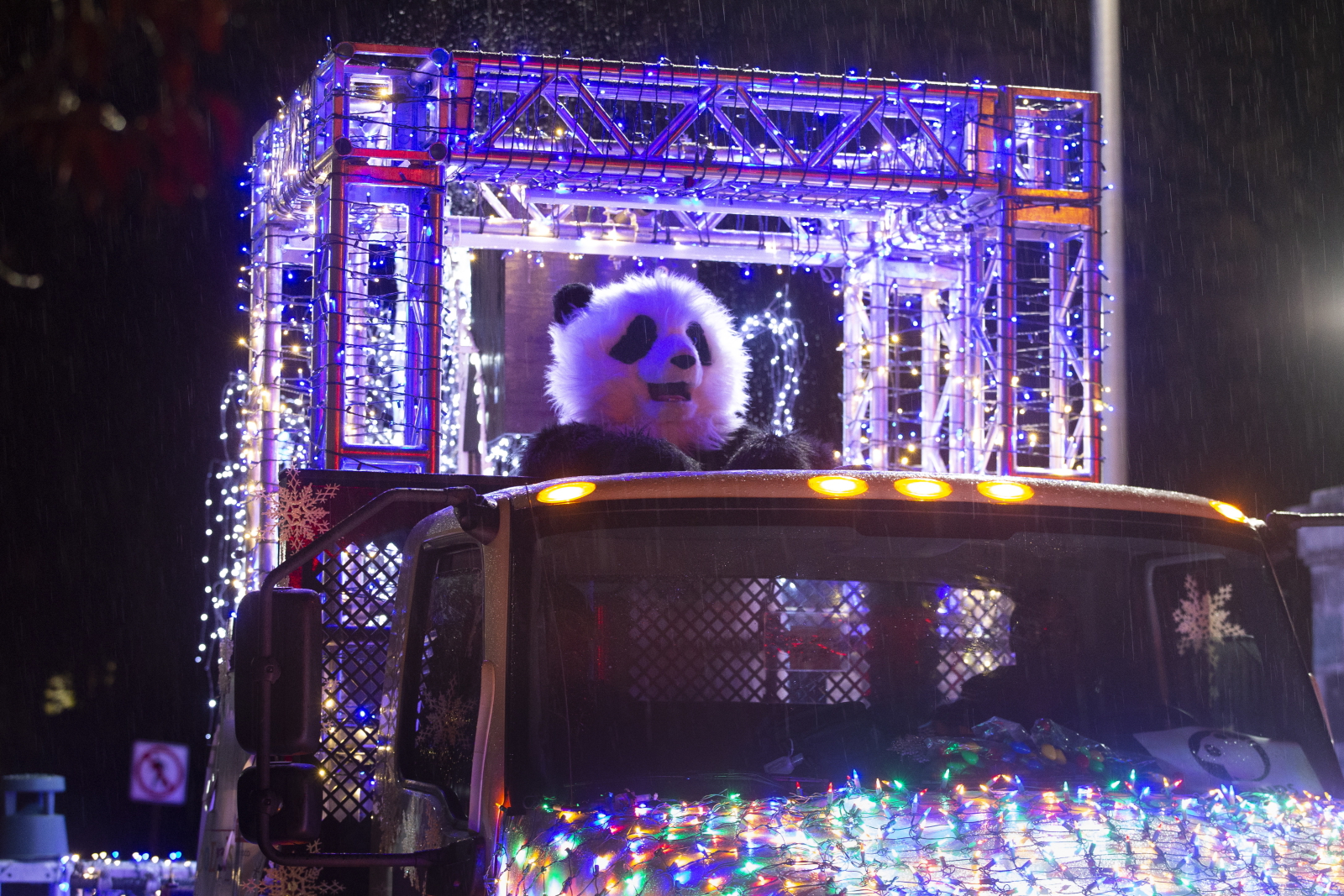 Panda w dekoracji świątecznej fot.  EPA/MICHAEL REYNOLDS 