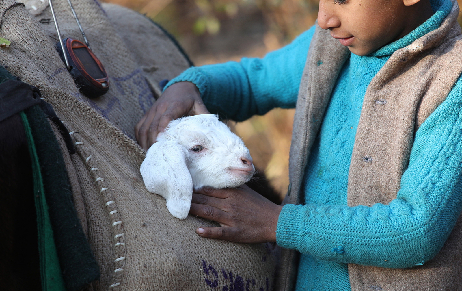 Pasterze w Himalajach EPA/SANJAY BAID 
