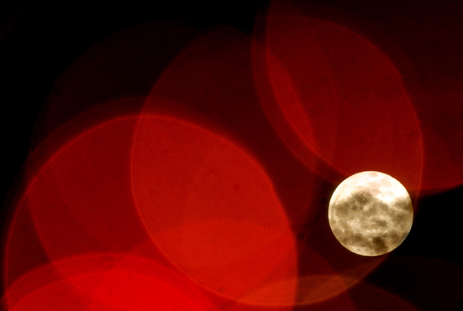 Zdjęcie pełni księżyca fot. EPA/GEORGI LICOVSKI 