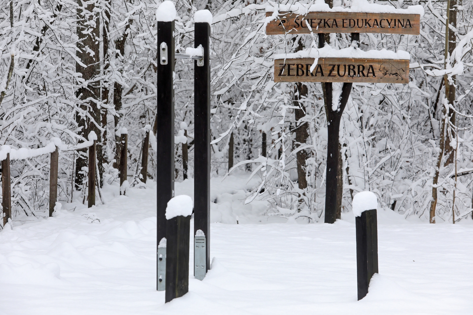 Zima na Podlasiu PAP/Artur Reszko
