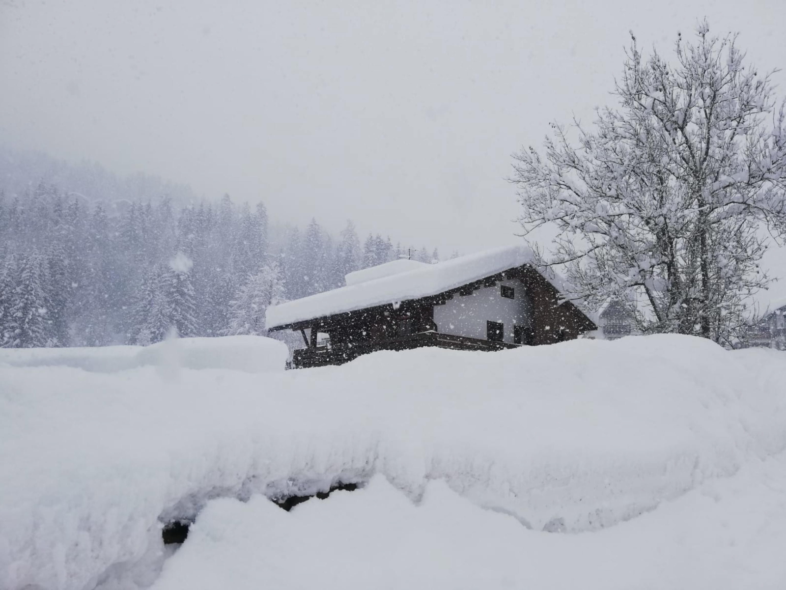 Śnieg w Dolomitach  EPA/SERENA SCARDANZAN 
