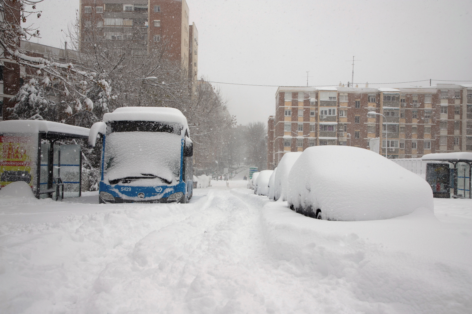 Hiszpania zasypana śniegiem. EPA/Francisco Camino 
