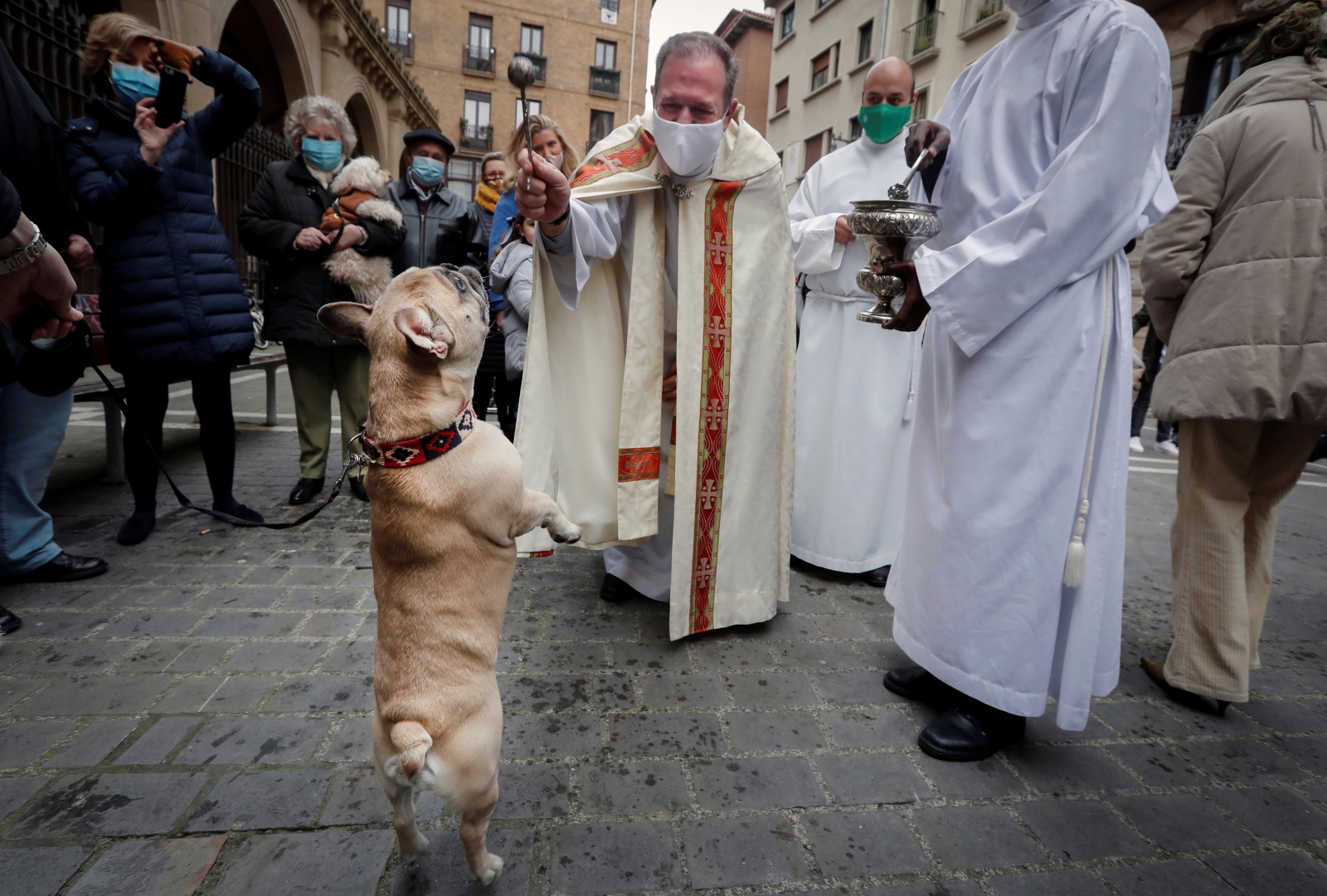 Święcenie psa w Hiszpanii fot. EPA/Villar Lopez 