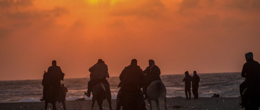 konie palestyna zachód słońca