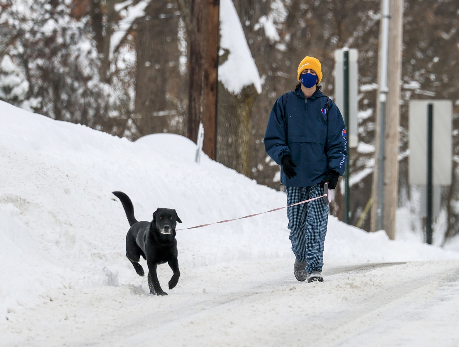 Zimowy spacer z psem fot. EPA/TANNEN MAURY 