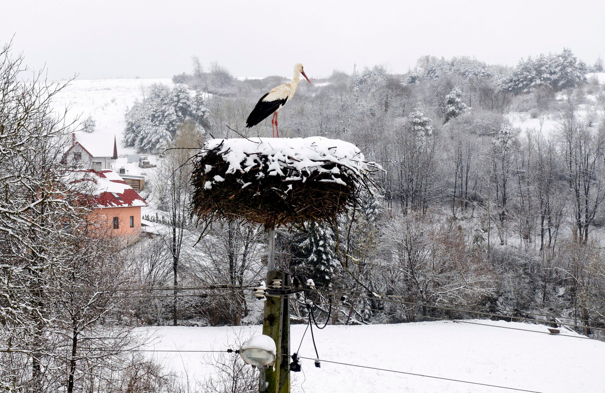 Zima wróciła do Polski, fot. PAP/Darek Delmanowicz