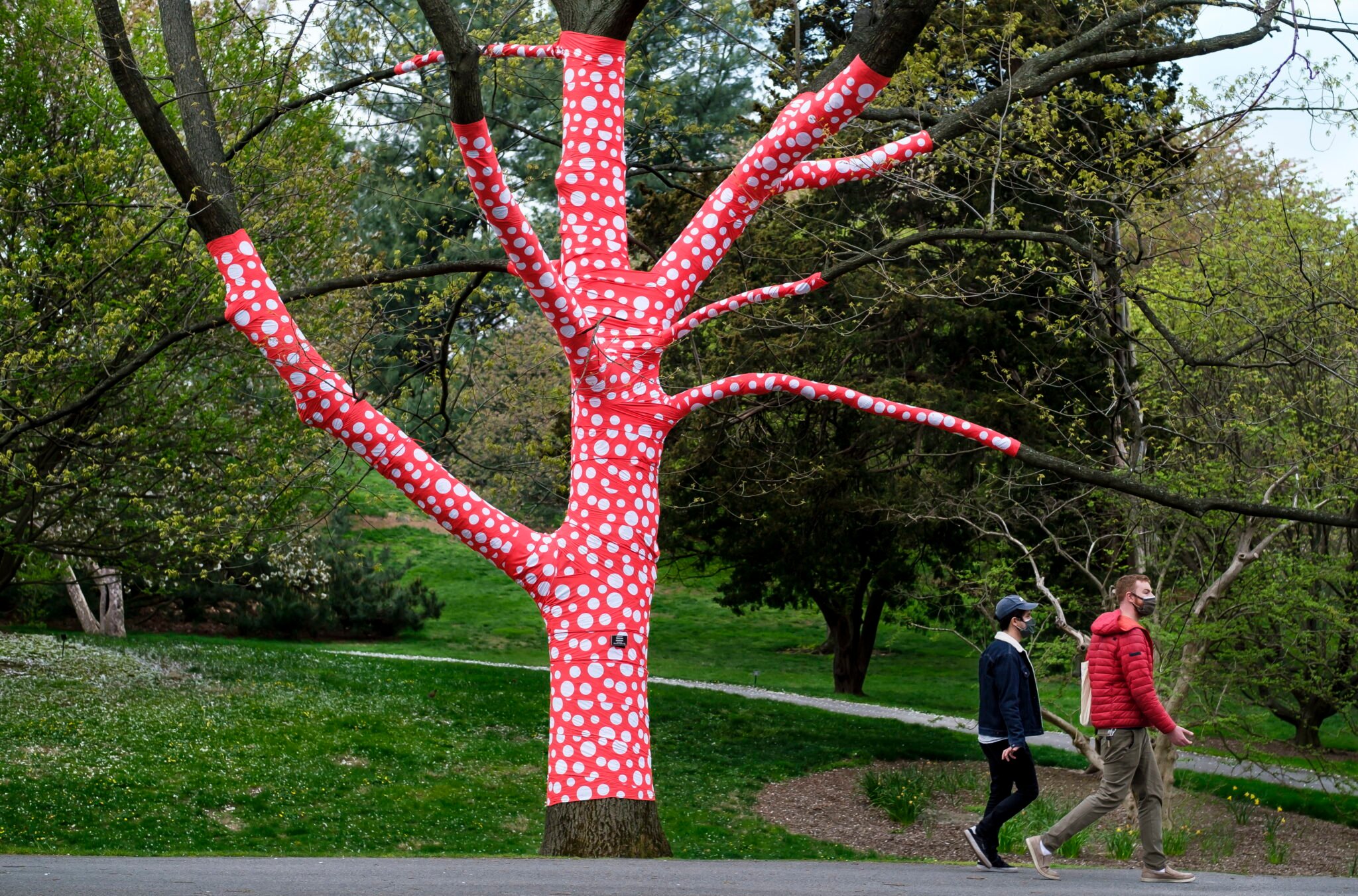 Praca japońskiego artysty Yayoi Kusamy zatytułowanej w nowojorskim Ogrodzie Botanicznym w dzielnicy Bronx w Nowym Jorku, fot.  EPA/JUSTIN LANE 