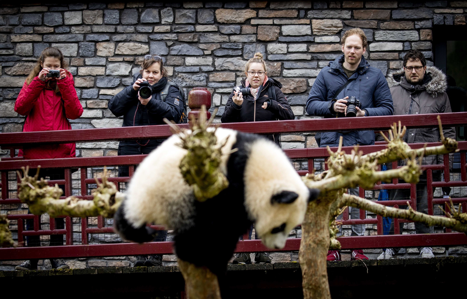 Zwiedzanie zoo fot. EPA/SEM VAN DER WAL 