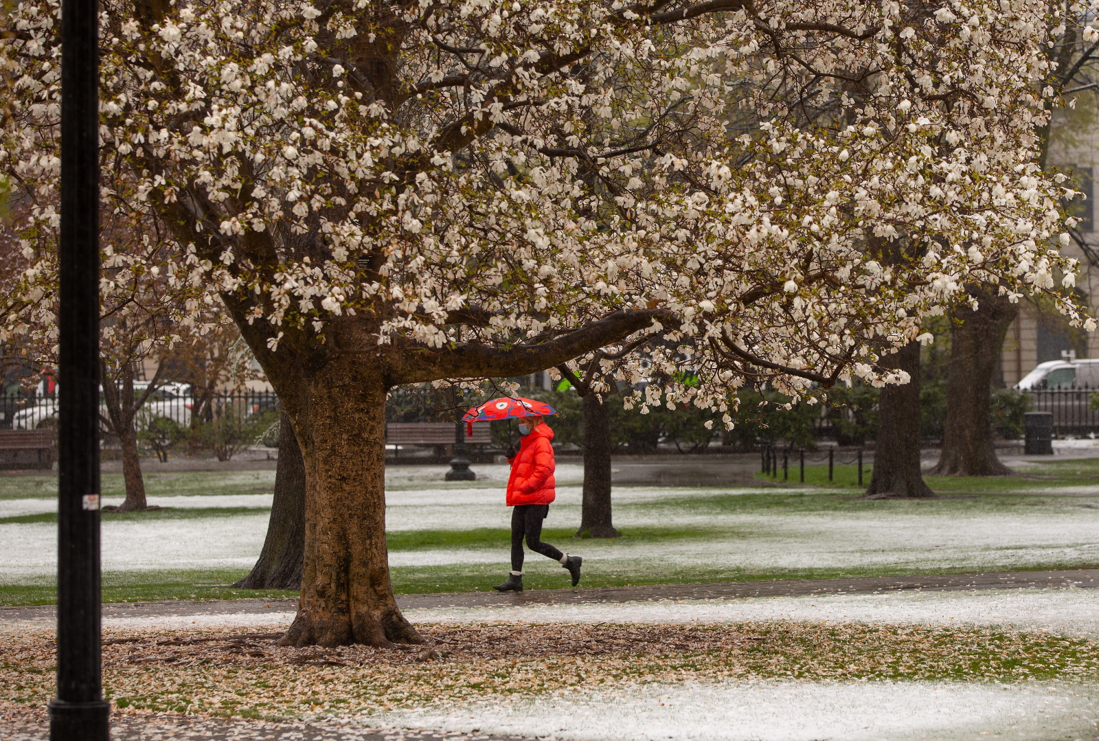 Kwietniowy wiosenny spacer fot. EPA/CJ GUNTHER 