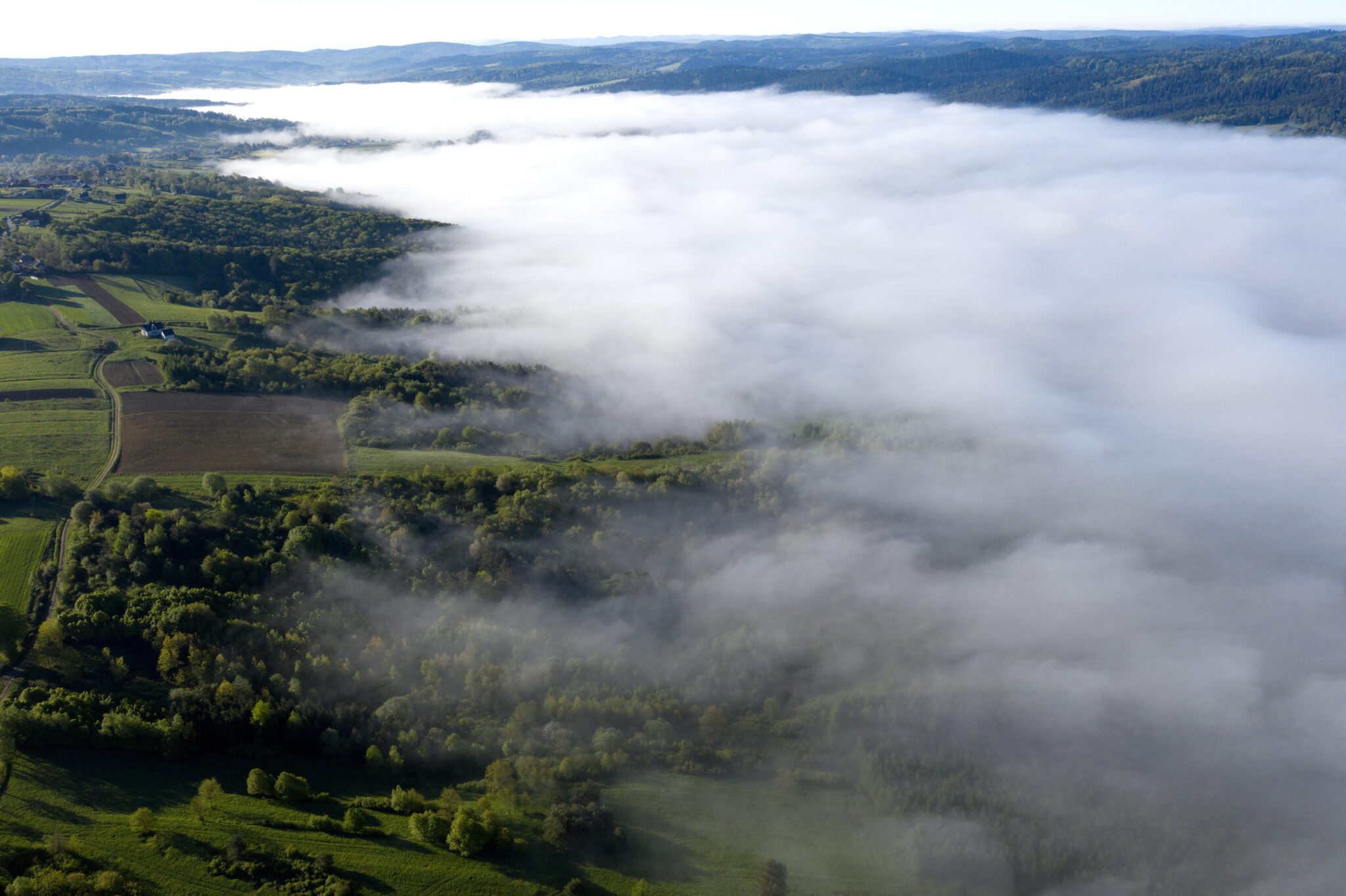 Poranna mgła w dolinie Sanu w okolicy Krzywczy (pow. przemyski), fot. PAP/Darek Delmanowicz