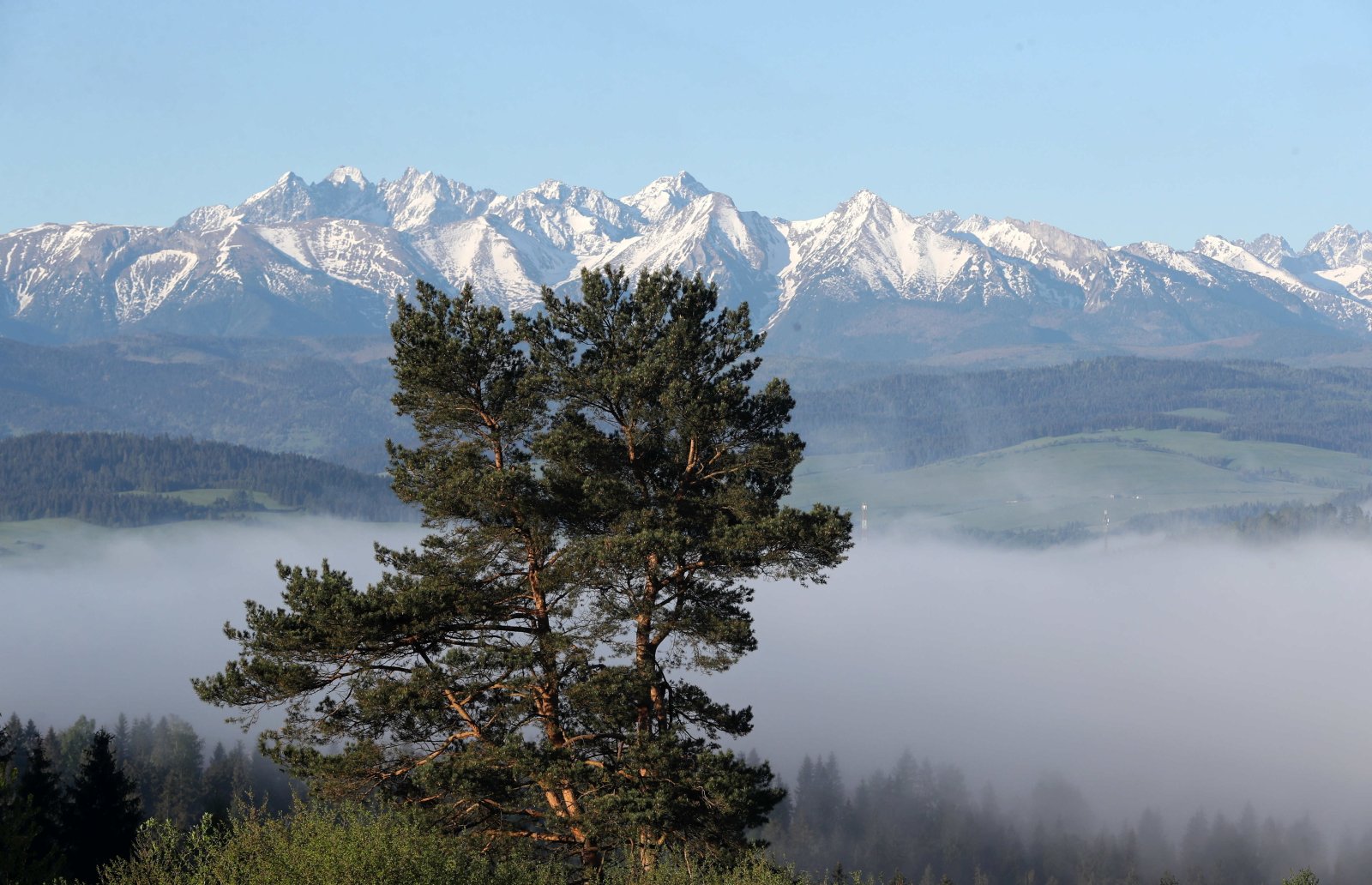 Widok na Tatry Fot. PAP/Grzegorz Momot