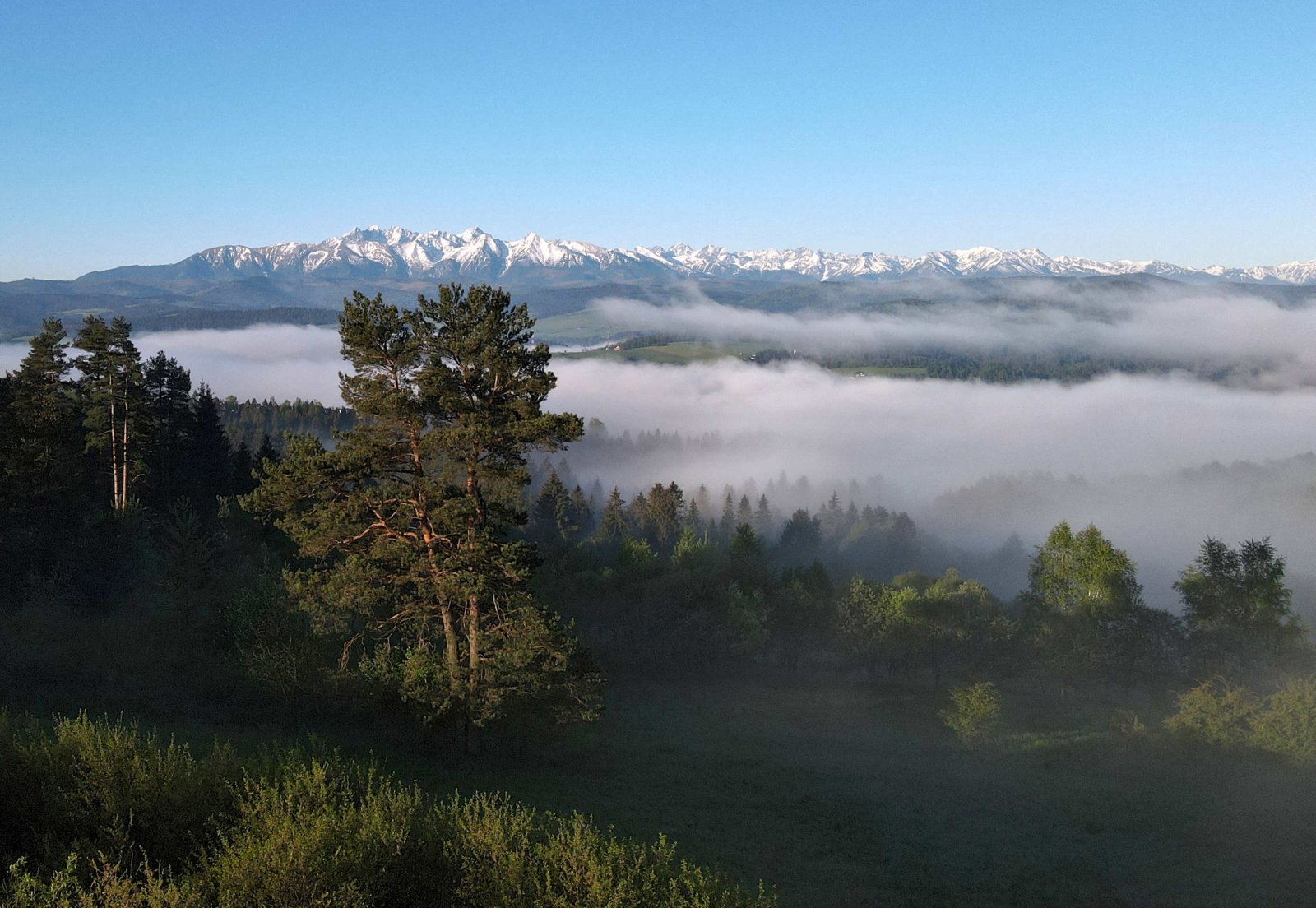 Widok na Tatry Fot. PAP/Grzegorz Momot