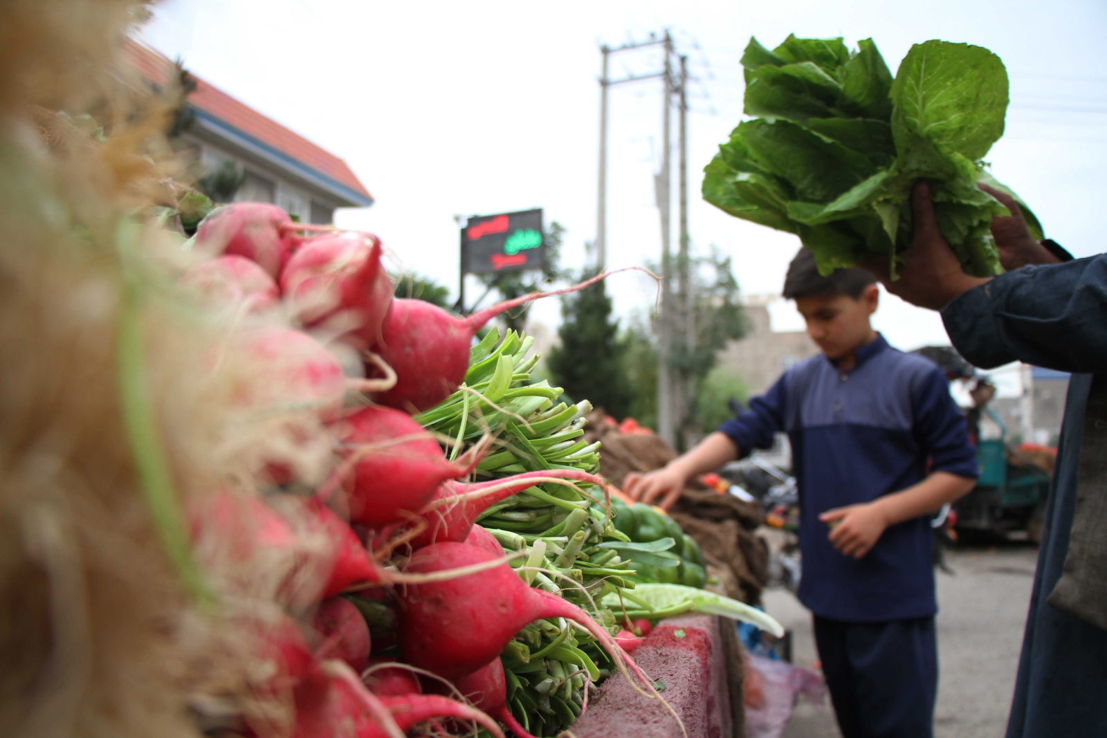 Targ w Heracie, Afganistan Fot. 	PAP/EPA/JALIL REZYEE